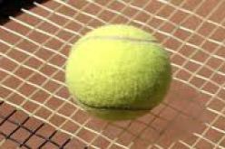 الجزائرية ايناس ايبو تدخل التصنيف العالمي للمحترفات