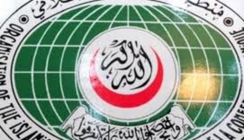منظمة التعاون الإسلامى تدعو إلى الإفراج عن المطرانين المخطوفين في سوريا