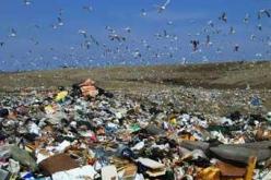 سكان المناطق المجاورة لمفرغة أولاد فايت يتنفسون الصعداء