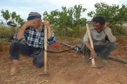 800 ألف فلاح غير مؤمن والدولة غير مسؤولة عن خسائرهم