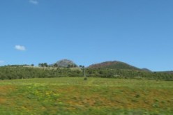 عملية لتوظيف شباب للإستفادة من عقارات فلاحية بالجنوب