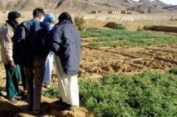 توفير أكثر من 5.000 منصب شغل بتمنراست قبل نهاية 2013