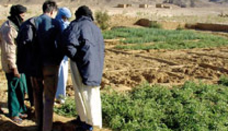 توفير أكثر من 5.000 منصب شغل بتمنراست قبل نهاية 2013