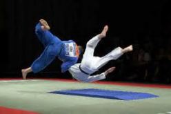 الاتحادية الدولية لرياضة المكفوفين تطلب من الجزائر تنظيم بطولة إفريقيا للأمم 2013 للجيدو الخاصة بضعفاء البصر