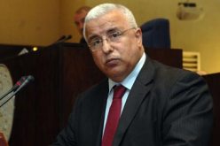 بن مرادي يقدم في مارسيليا مخطط عمل الجزائر لمكافحة البطالة