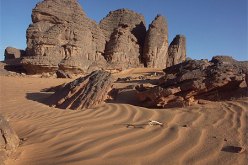 تدشين خط جوي جديد بين الجزائر العاصمة وإيليزي