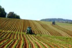 التحضير للإحصاء الفلاحي الـ 3 يستكمل قريبا