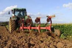 تلف  الهكتارات من الارضي الفلاحية  بسبب الفياضانات في تبسة