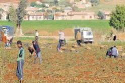 سلال يشدد على ضرورة الانتهاء من تسليم عقود الامتياز للفلاحين قبل نهاية 2013