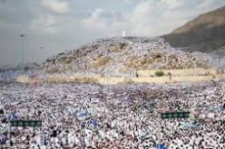 وزارة الصحة السعودية تعلن سلامة حج 2013 من الأمراض الوبائية والمحجرية