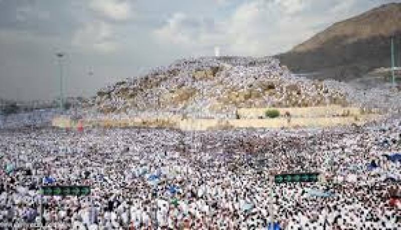 وزارة الصحة السعودية تعلن سلامة حج 2013 من الأمراض الوبائية والمحجرية