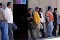 تمويل حوالي 500 مشروع ضمن جهاز الوكالة الوطنية لدعم تشغيل الشباب بغليزان