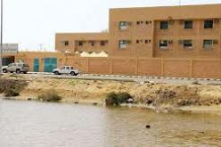 تسجيل 36 حالة من داء حمى المستنقعات هذا العام بتمنراست