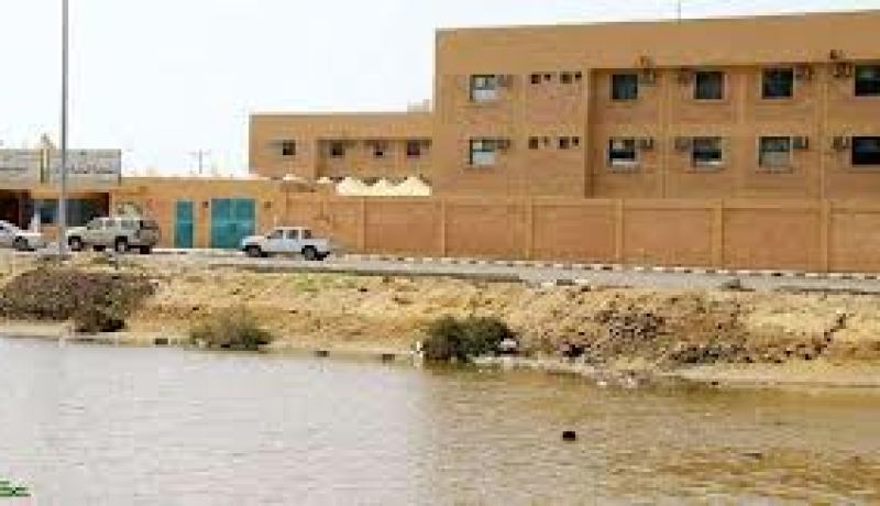 تسجيل 36 حالة من داء حمى المستنقعات هذا العام بتمنراست