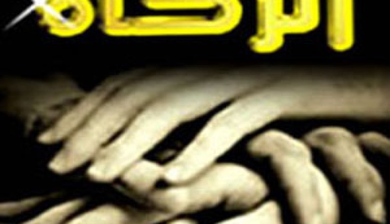 صندوق زكاة لرعاية الطفولة المسفعة قريبا