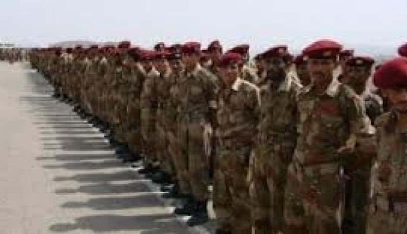 المدانون من القاعدة يسبون القاضي ويهددون بتصفيته خلال محاكمتهم في اليمن
