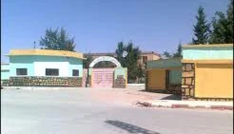 الشباب البطال لبلدية الأبيض سيدي الشيخ بالبيض في وقفة احتجاجية