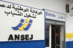 تمويل أكثر من 400 مشروع بتبسة ضمن جهاز الوكالة الوطنية لدعم تشغيل الشباب