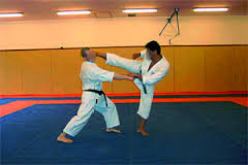 ميدالية برونزية للجزائري مسيبسا حماداني في الكاراتي