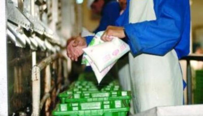 تراجع فاتورة استيراد الحليب بنسبة 11 بالمئة في خلال ال9 أشهر الاولى 2013