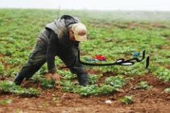 فلاح يواجه القضاء بتهمة تحويل الحجر الى جنة خضراء