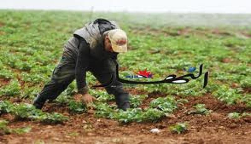 فلاح يواجه القضاء بتهمة تحويل الحجر الى جنة خضراء