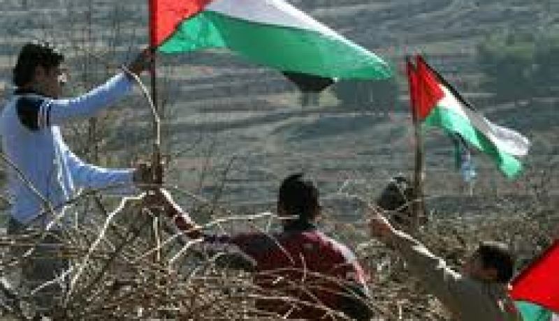 42% من سكان الأراضي الفلسطينية لاجئون