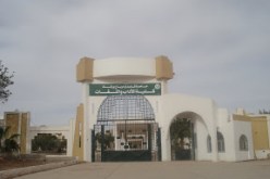 دراسات وبحوث جامعية مشجعة بورقلة لتطوير زراعة السبيرولينا في الجنوب