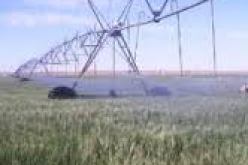 تخصيص 1.039 هكتار لإنشاء محيطات فلاحية جديدة لفائدة الشباب بالنعامة