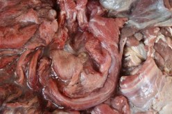 حجز 4 قناطير من اللحوم الفاسدة في باتنة