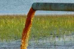 مواد ملوثة تتسبب في عرقلة عمل محطة تصفية المياه طبيعيا بغرداية