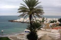 استحداث قرابة 2000 منصب عمل منذ بداية سنة 2013 بتيبازة