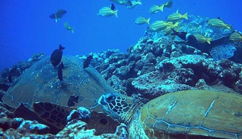 ضرورة إشراك السكان المحليين في تسيير آليات حماية التنوع البيولوجي