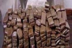 حجز أكثر من 100 كلغ من المخدرات بغرب الوطن