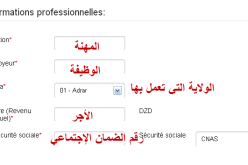 المغتربين ضمن تسجيلات سكنات عدل والوزارة تتوعد كل مزور بالمتابعة القضائية