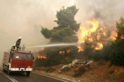 النيران تلتهم أكثر من 10 هكتارات ببلدية بني لحسن في تيسمسيلت