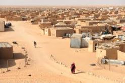 حقوقيون يشددون ضرورة تكريس مبدأ حق تقرير مصير الشّعب الصحراوي