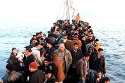 توقيف 14 مهاجرا غير شرعي من النيجر ومالي والكاميرون في معسكر