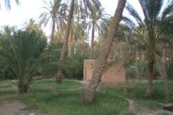 برمجة عمليتين لتحسين التموين بمياه الشرب والسقي الفلاحي بسيدي خالد في بسكرة