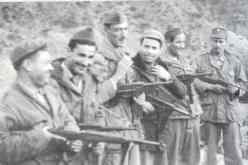 تدشين معرض لمصوري الحرب بالجزائر العاصمة