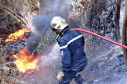 إتلاف 19 هكتارا بسبب حريقين بولاية تيسمسيلت