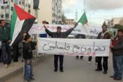 الجزائر تؤيد ابرام معاهدة حاملة لقيم التضامن و مقتضيات حقوق الانسان