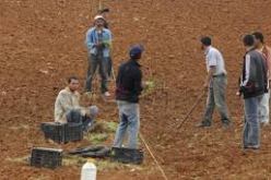 سلال يسلم 15 عقد امتياز لفلاحين ببوسعادة