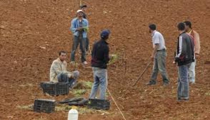 سلال يسلم 15 عقد امتياز لفلاحين ببوسعادة