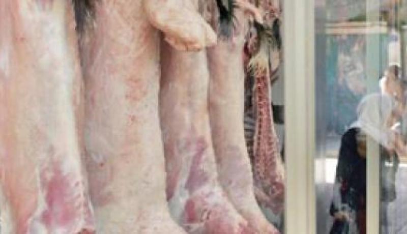 شراكة جزائرية إسبانية لإنجاز المركب الجهوي للحوم الحمراء ببلدية بالبيض