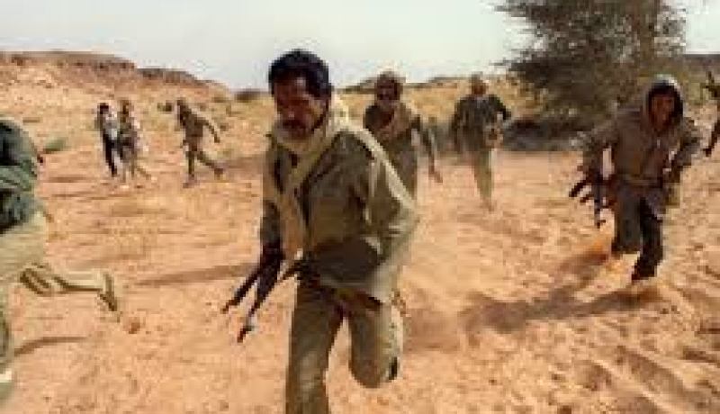 الصحراء الغربية أرض افريقية يجب تصفية الاستعمار بها