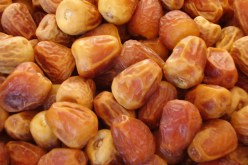 إقبال واسع بغرداية على “المنقر” التمر المبكر النضج