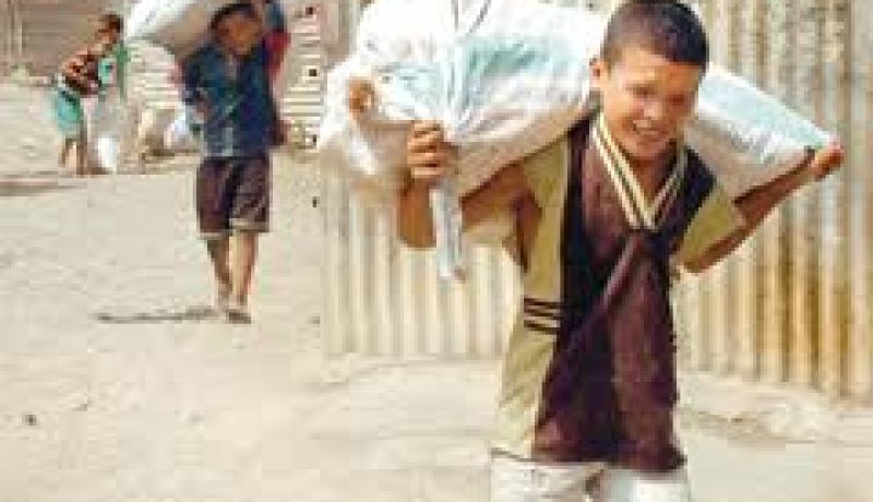ضرورة تجنيد الموارد البشرية ووضع شبكات تتكفل بالعنف ضد الأطفال