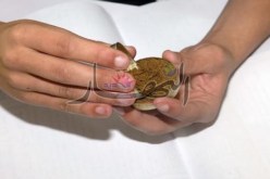 مصالح الدرك الوطني تحجز 100 ألف كيس من الشمة المقلدة بتبسة