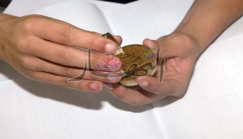 مصالح الدرك الوطني تحجز 100 ألف كيس من الشمة المقلدة بتبسة